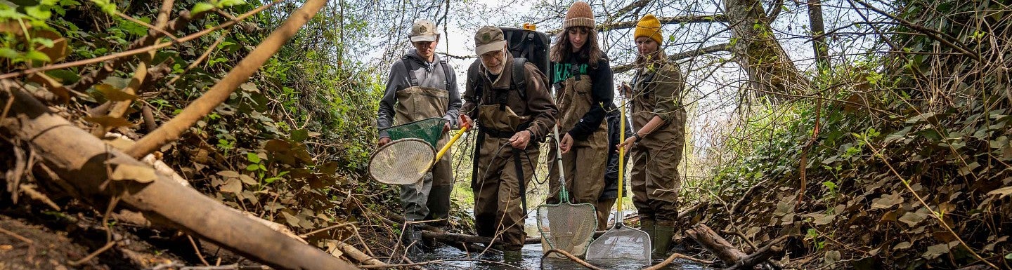 students and faculty members use nets in a river