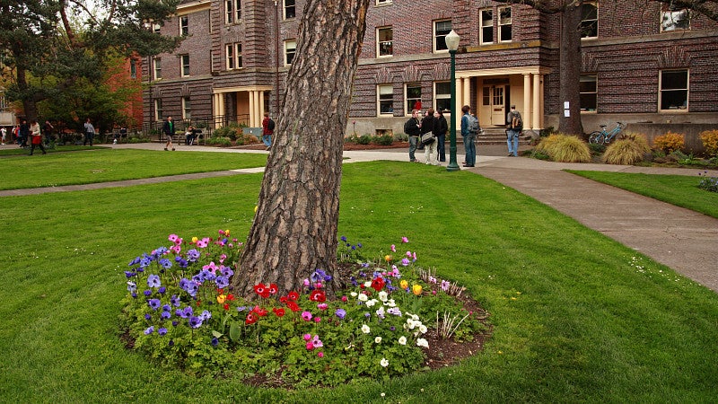 University of Oregon campus with tree and flowers and groups of students walking in background