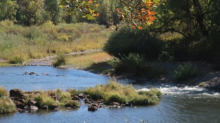 Willamette River