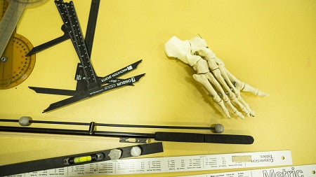 Foot skeleton and measurement tools