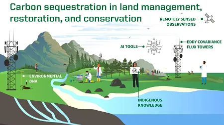 Carbon Sequestration: UO/Coquille Tribe Collaboration, NSF Grant