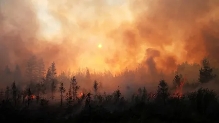 a wildfire smoke filled orange sky 