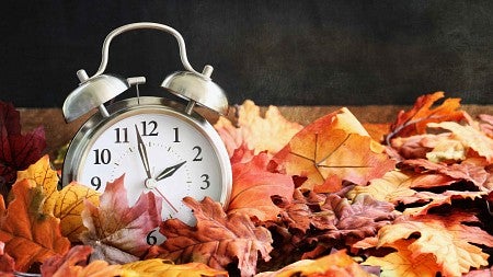 an alarm clock buried in autumn leaves