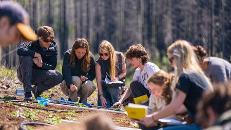 students conducting field research for majors in the college of arts and sciences