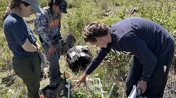 Students working in a field