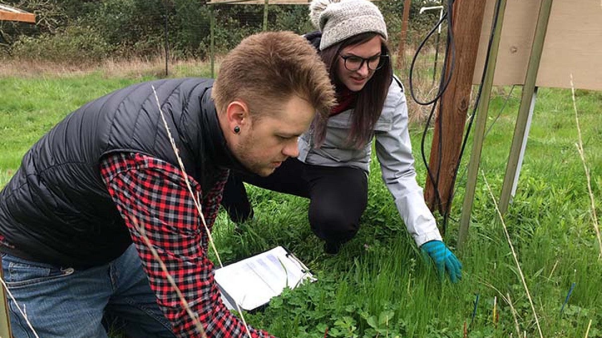 Students working in the field