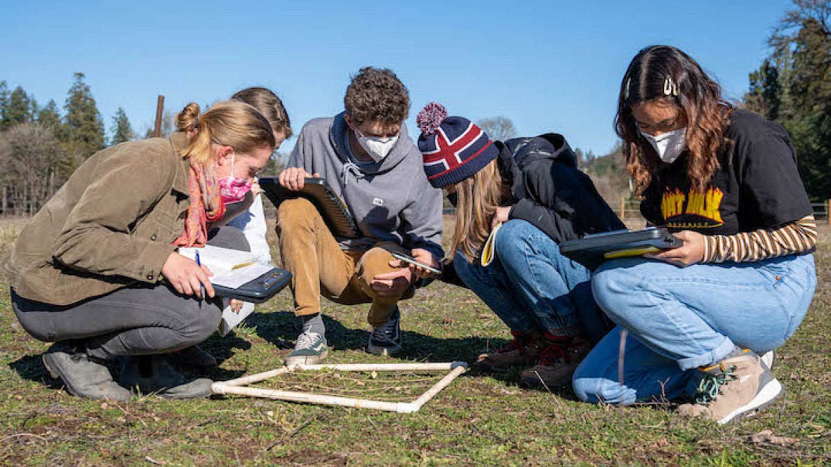 Students surveying plant species in field