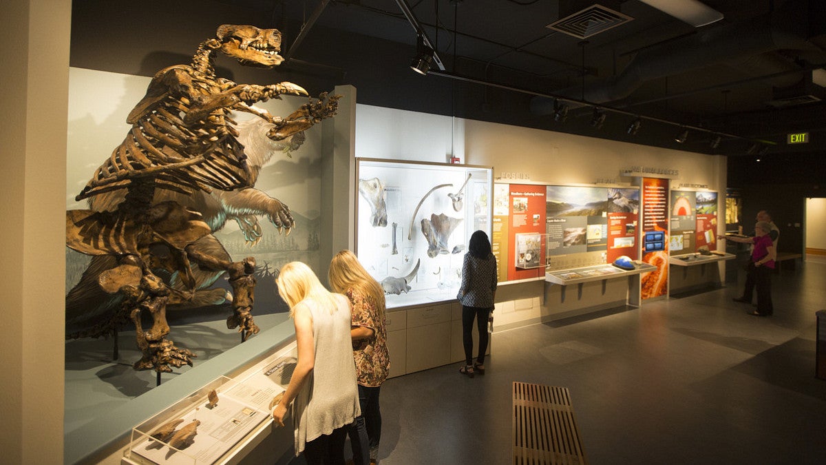 Museum display of a large skeleton