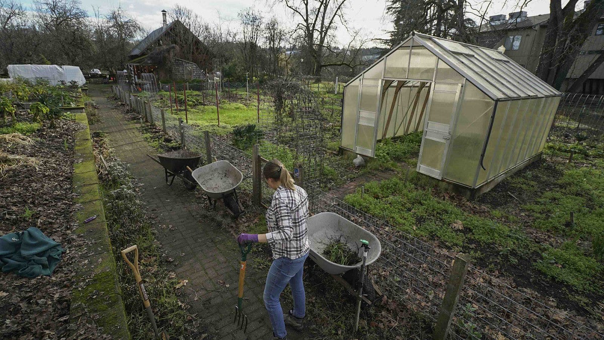 person working at the Urban Farm