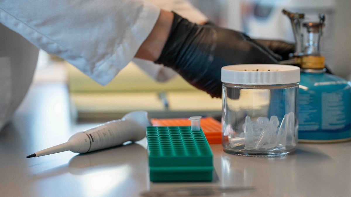 a closeup image of someone's gloved hands while working in a lab