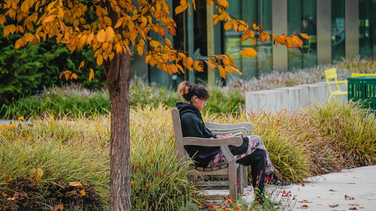 a student reads a book while sitting under underneath a tree with autumn leaves