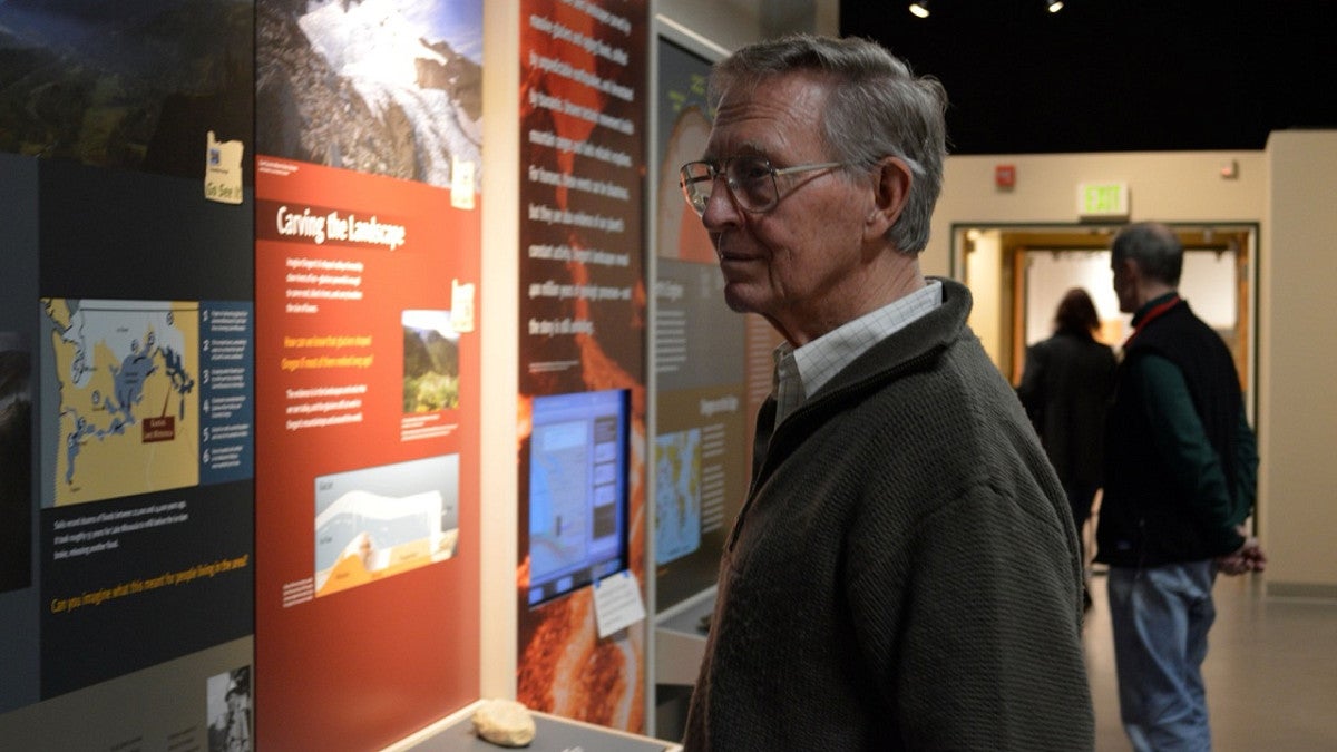 a person looking at an exhibit