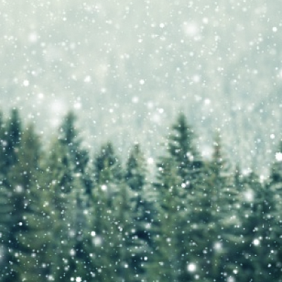 Winter scene with snow falling onto tree tops