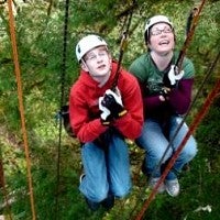 ELP 209-2010 people in harnesses belaying in tree canopy