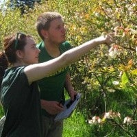 ELP 2011-2012 students examining tree