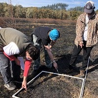 Three students in a burnt field testing ground cover.