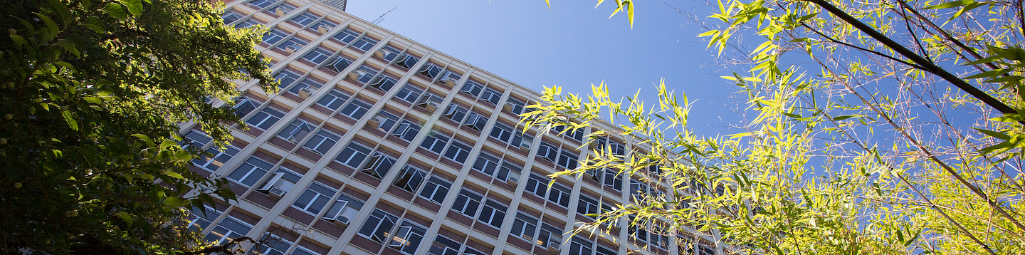 Courses Economics Social Sciences