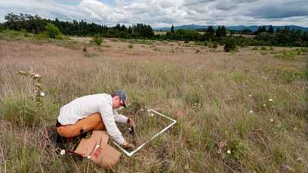 student researcher surveying grassland