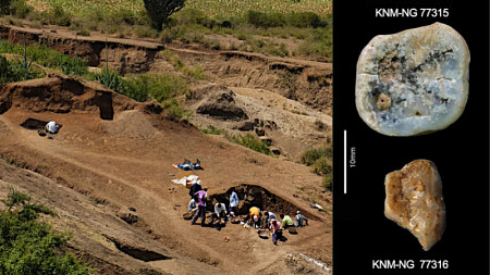 Researchers digging at a site in Kenya (left) found teeth from an early human ancestor in the genus Paranthropus (right).