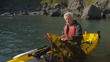 Jon Erlandson in a boat examing kelp in California
