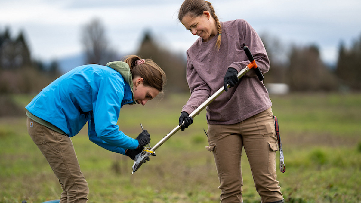 students taking soil samples in field