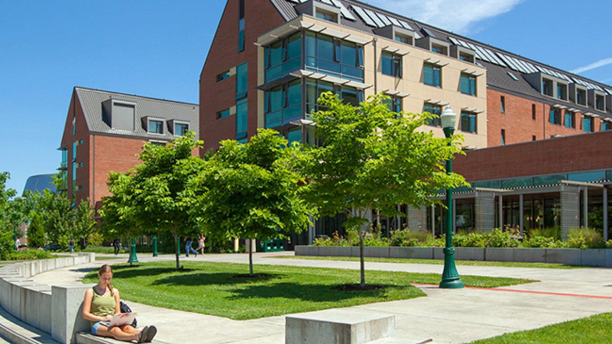 Contact the Department of Global Studies Global Studies Social Sciences