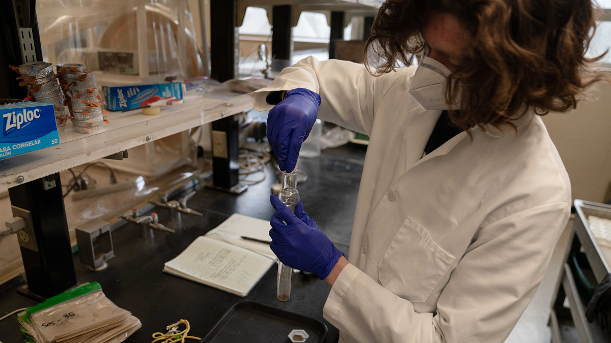 A researcher puts a sample into a test tube
