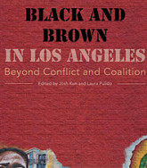 Book cover Black and Brown in LA