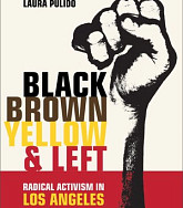 Book cover Black, Brown, Yellow, and Left
